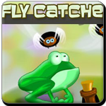 Avoid the toxic and catch the fly to finish the level