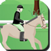 Use space button to jump and the front and back key to slow/increase your horse speed